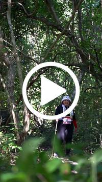 BIB:  <button type="button" onclick="openModal(28083329)" class="btn btn-primary btn-sm float-right" data-toggle="modal" data-target=".modal-high-quality">
                <i class="fa fa-download"></i> Download
                </button>